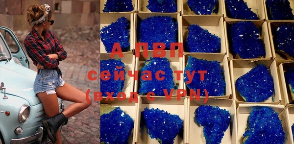 крисы Бронницы