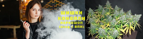 а пвп мука Богданович