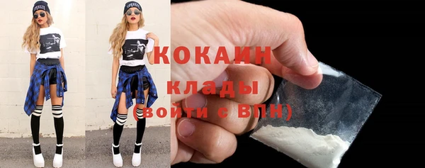 бошки Богородицк