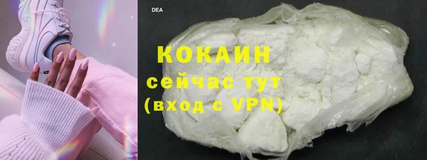 бошки Богородицк
