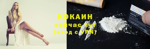 бошки Богородицк